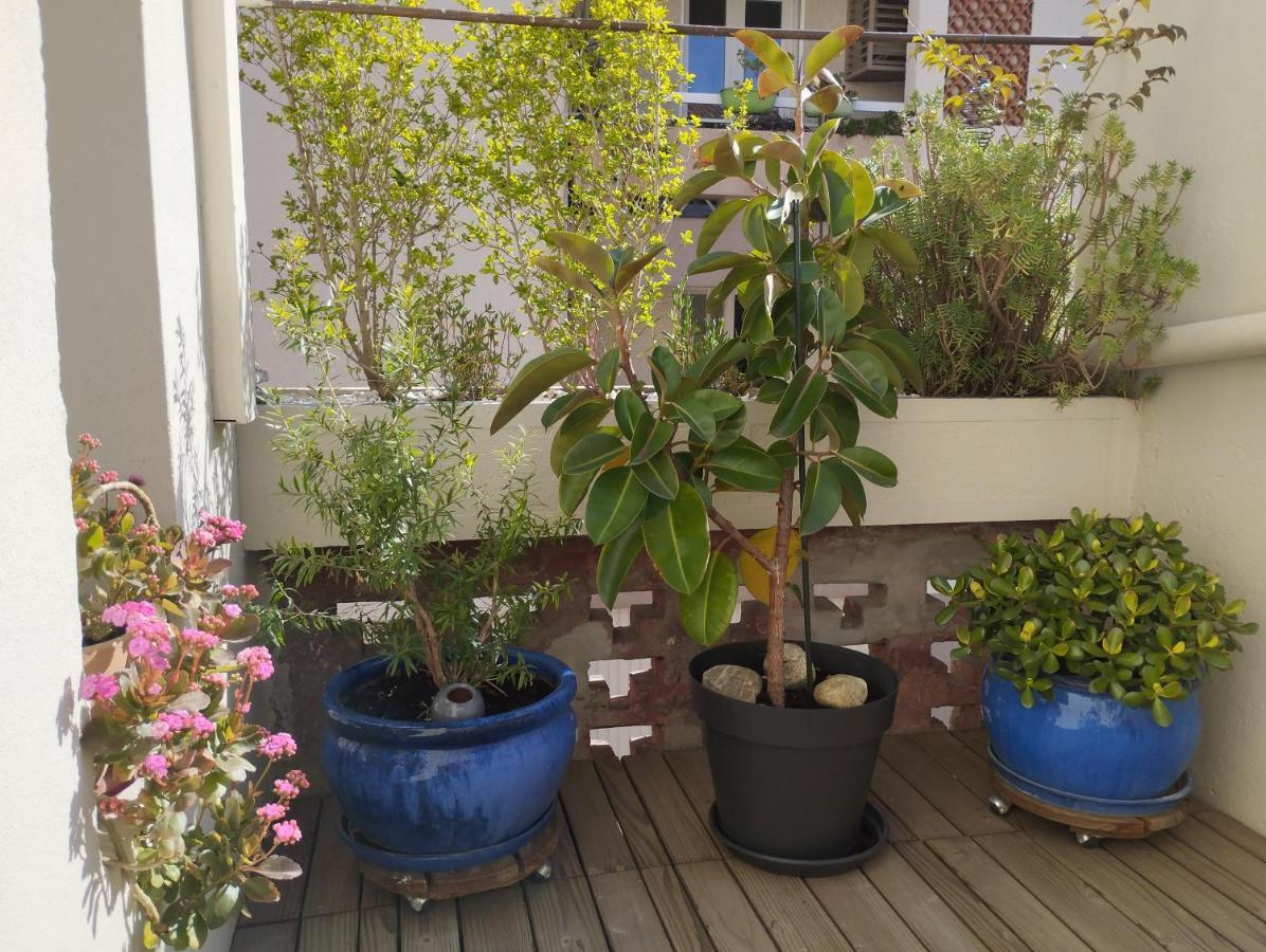 Bel Appartement Privatif Perpignan Exterior foto